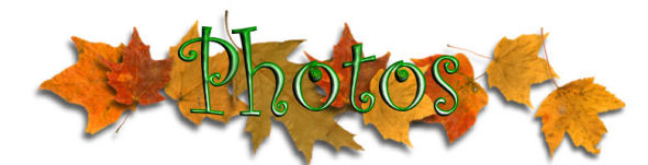 Photos logo